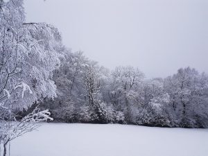 Eine schützende Schneedecke legte sich im Januar 2021 auf das Bergische Land