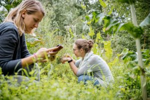 Natur erfassen in der Gruppe