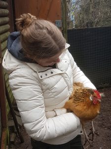 Die FÖJler:innen der Natur-Schule Grund betreuen u.a. die Hühner