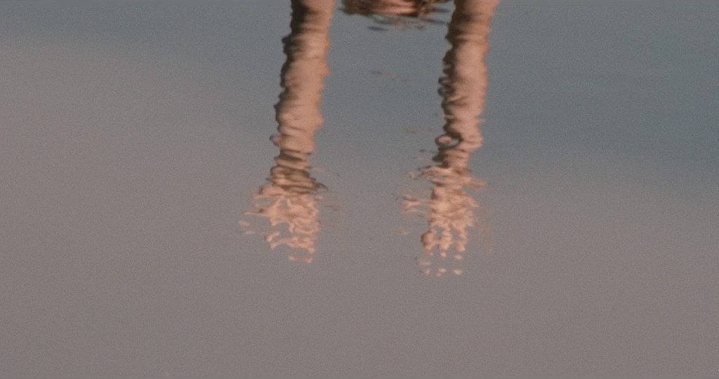 Still Through The Roots © Masha Ponamariova