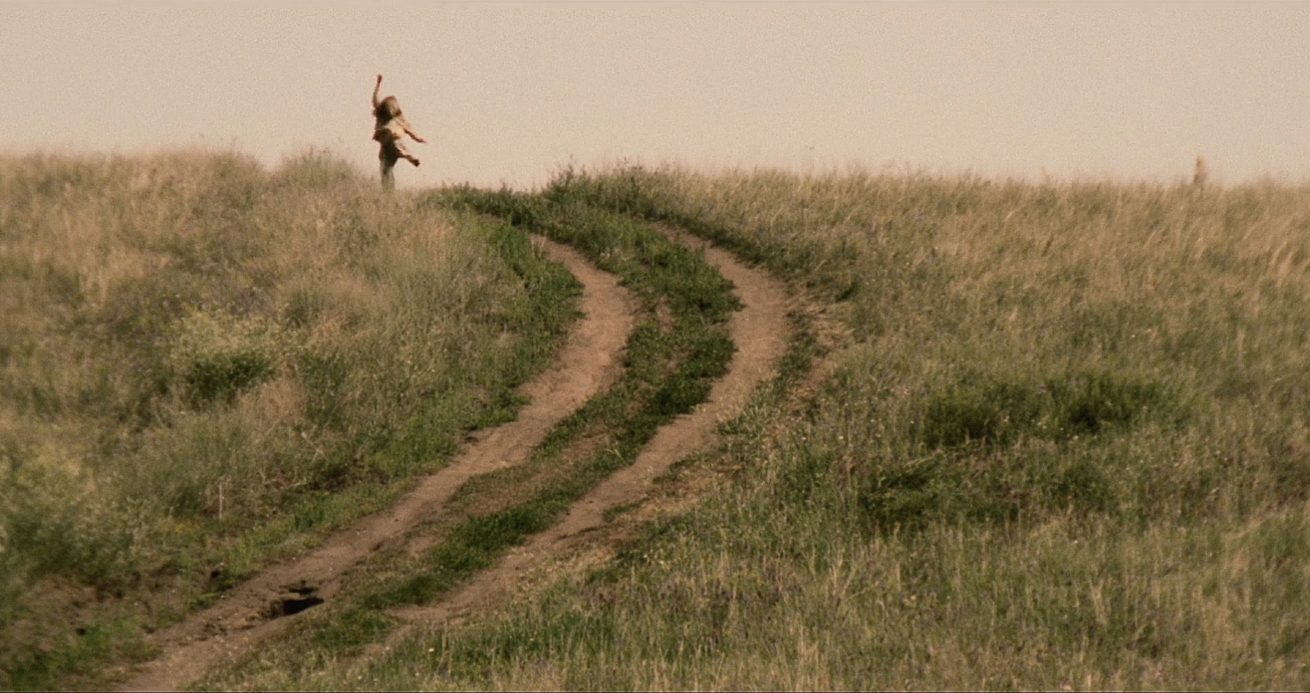 Still Through The Roots © Masha Ponamariova