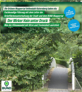 Waldumbau statt Waldsterben