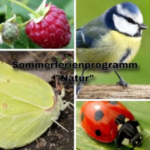 Natur in den Ferien erleben