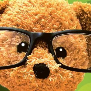 Stoffbär mit Brille nur das Gesicht